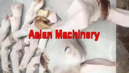 Professional Manufacturer Cow Cattle Sheep Goat Head Feet Dehairing Hair Removing Machine