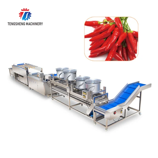 Automatic Fruit and Vegetable Wool Roller Bubble Cleaning and Drying Production Line